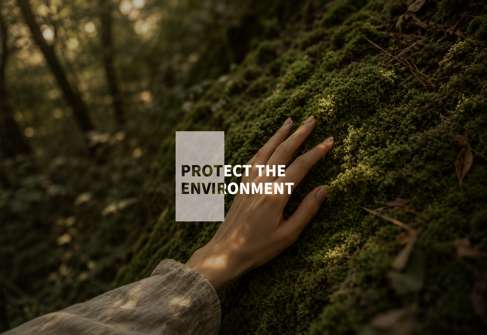CSR initiative